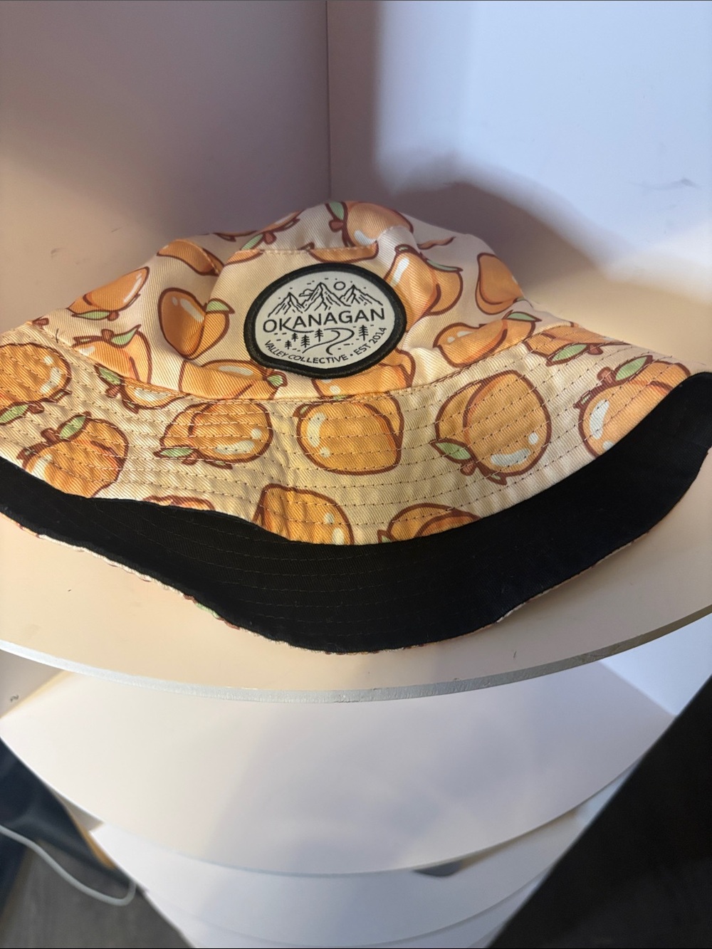 reversible okanagan valley collective bucket hat